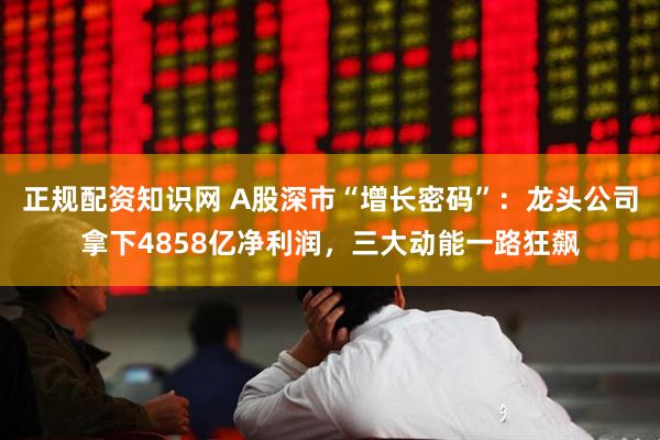 正规配资知识网 A股深市“增长密码”：龙头公司拿下4858亿净利润，三大动能一路狂飙