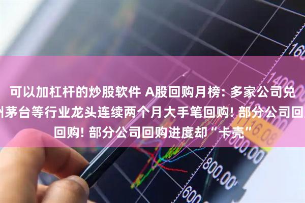 可以加杠杆的炒股软件 A股回购月榜: 多家公司兑现回购承诺, 贵州茅台等行业龙头连续两个月大手笔回购! 部分公司回购进度却“卡壳”