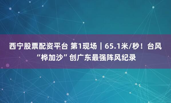 西宁股票配资平台 第1现场｜65.1米/秒！台风“桦加沙”创广东最强阵风纪录